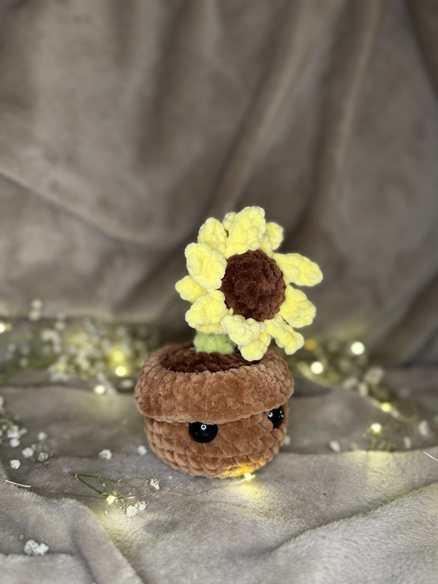 Bella die kleine Blume