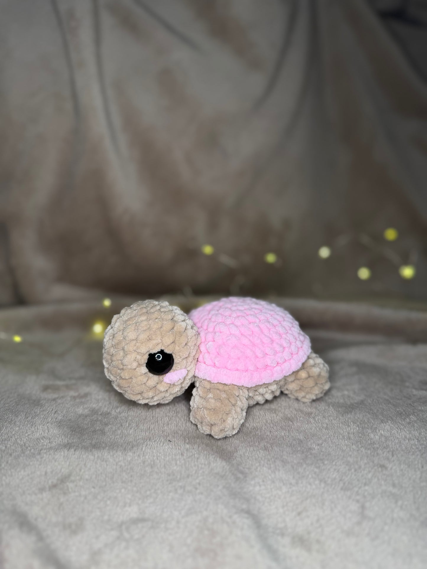 Souna die kleine Schildkröte