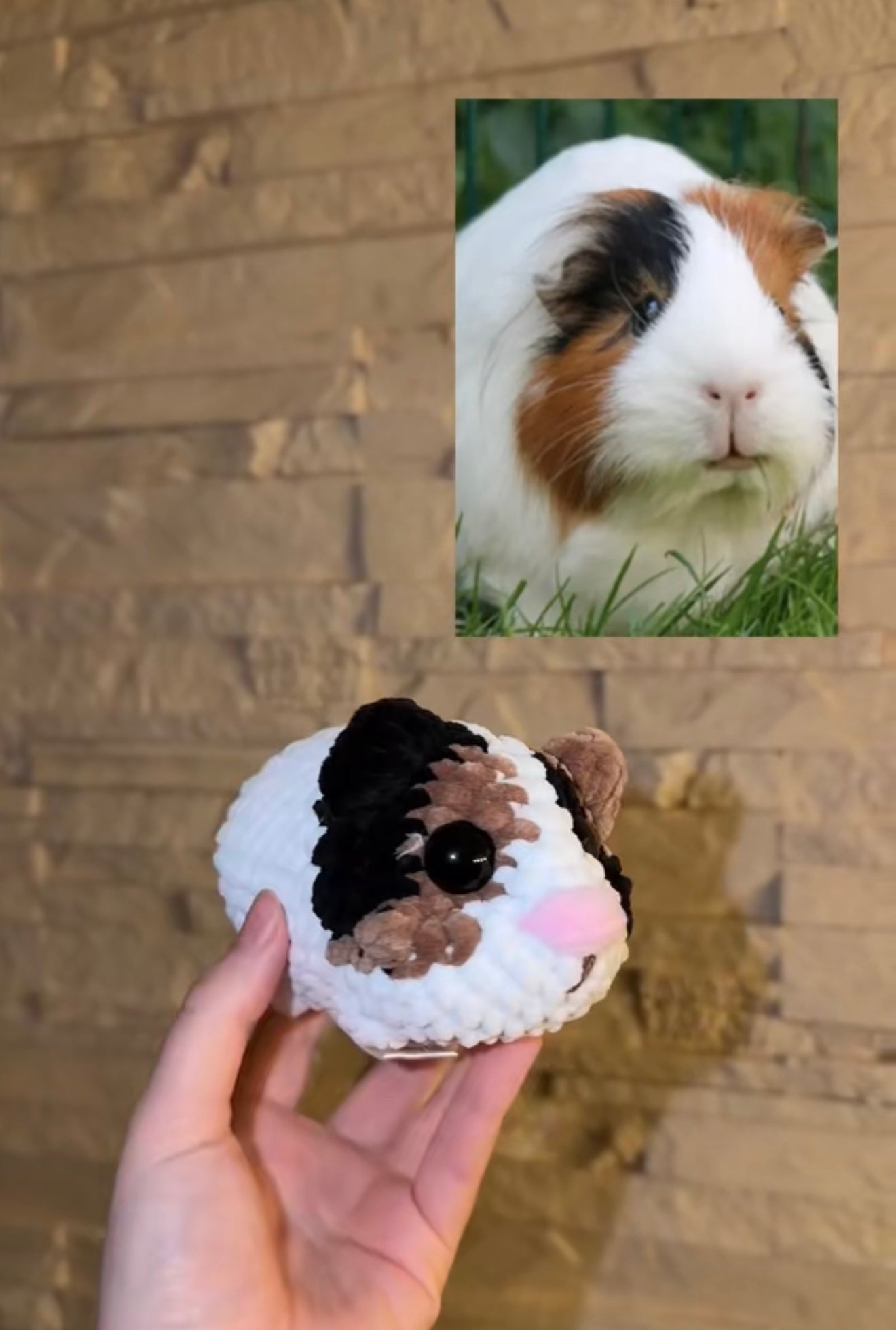 Personalisiertes Meerschweinchen