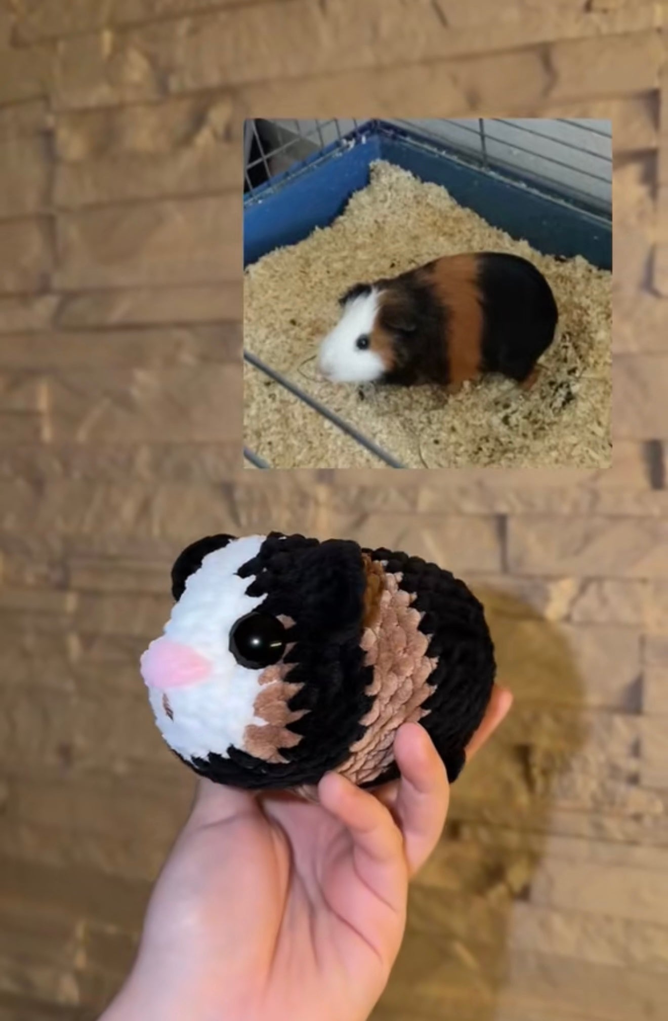 Personalisiertes Meerschweinchen