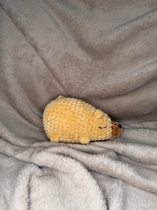 schlafender Bär