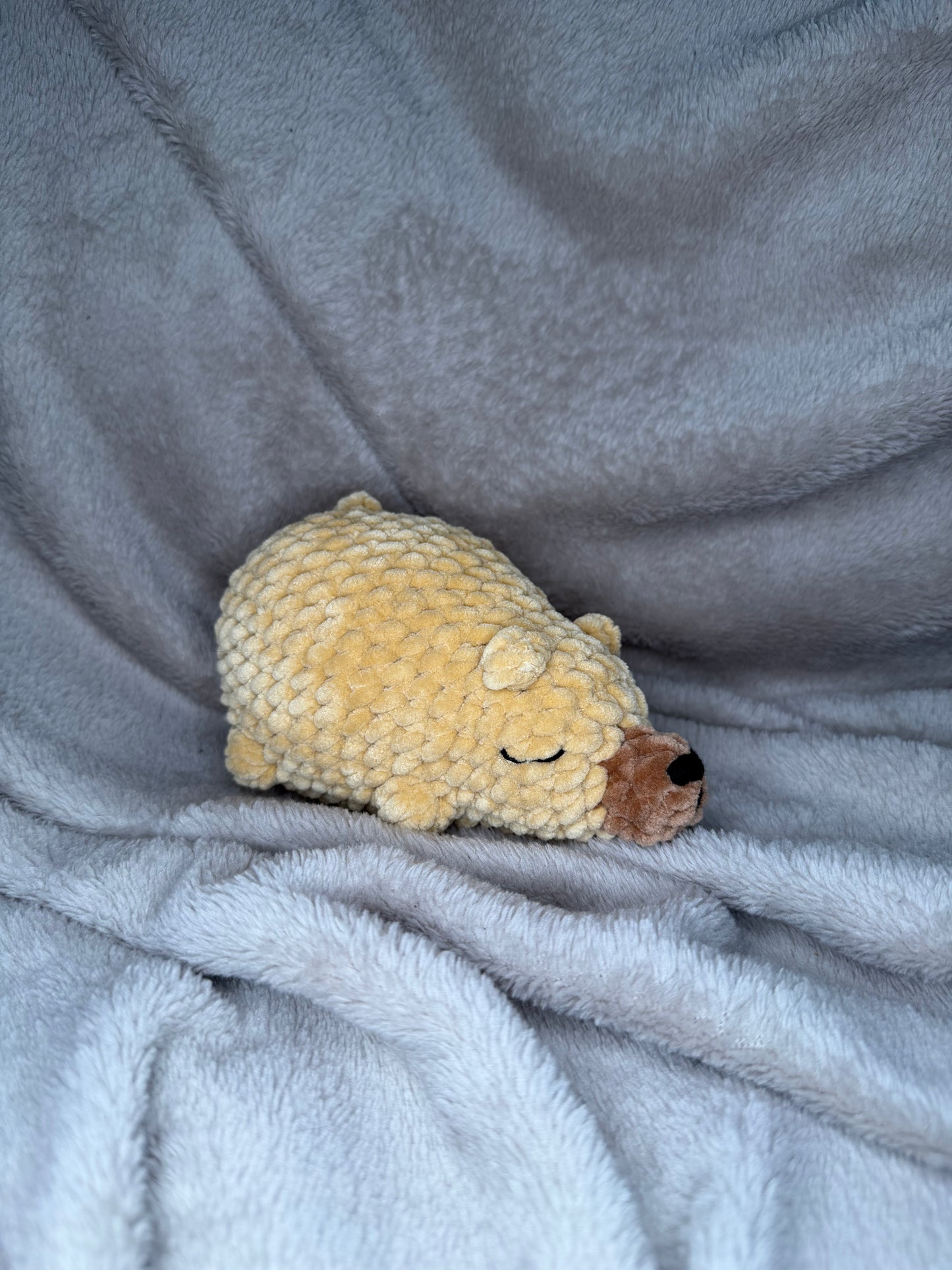 schlafender Bär