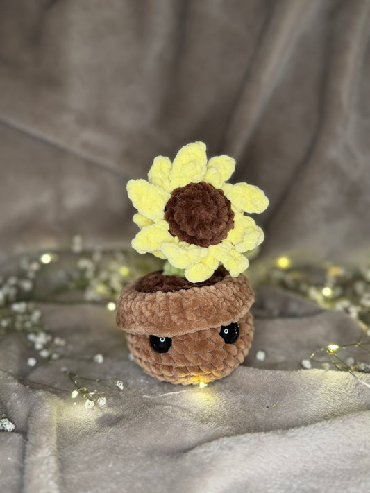 Bella die kleine Blume