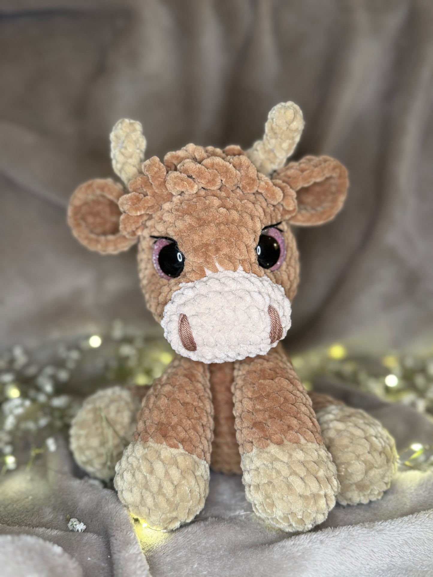 Hyke die sitzende Highland-Cow