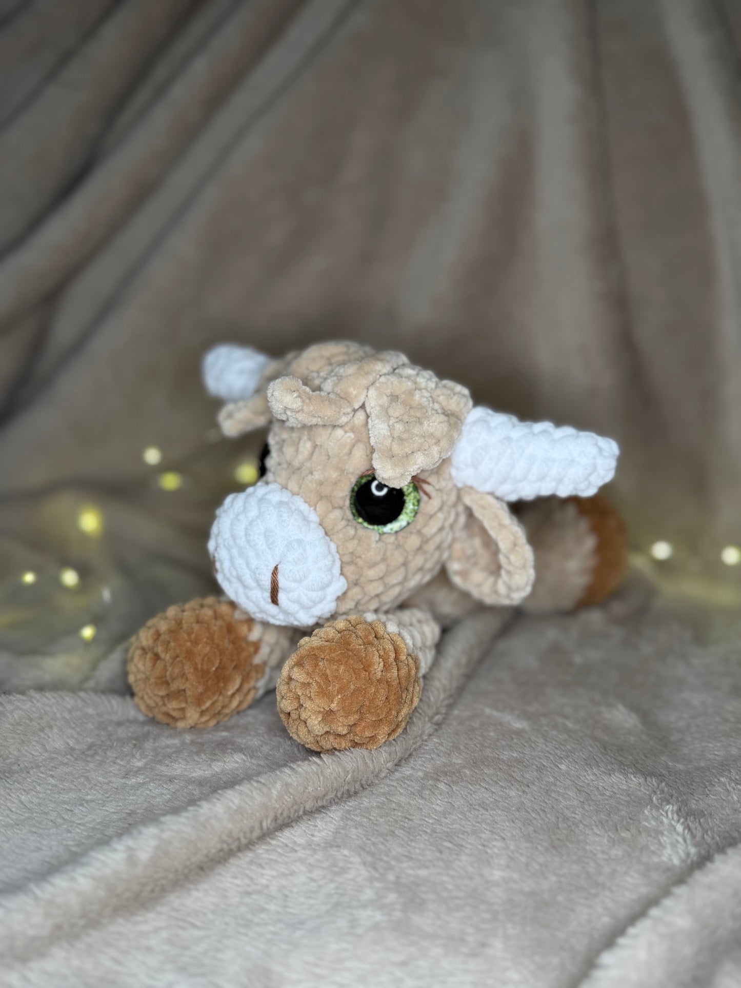 Honey die liegende Highland-Cow