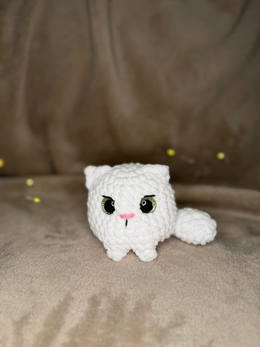Kate die kleine Katze